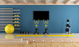 Blue room with gym equipment