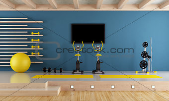 Blue room with gym equipment