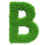 Green Grass Letter B
