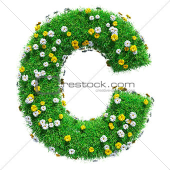 Letter C Of Green Grass And Flowers
