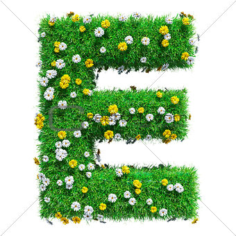 Letter E Of Green Grass And Flowers