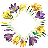 Wildflower crocuses flower frame in a watercolor style isolated.