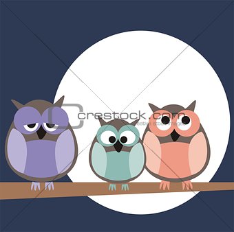 Funny, staring owls family sitting