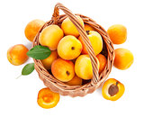 Fresh apricots with green leaf in wicker