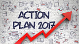 Action Plan 2017 Drawn on Brick Wall.