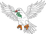 Dove With Olive Leaf Drawing