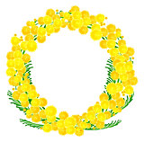 Wreath of yellow acacia flowers twigs