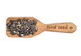 Bird seed on shovel