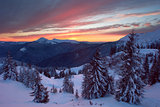 winter forest and mountains Carpathians