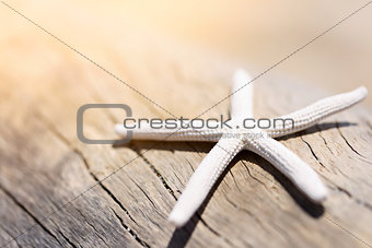 starfish on wooden texture