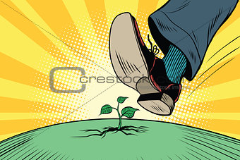The human foot comes to green sprout, ecology and nature