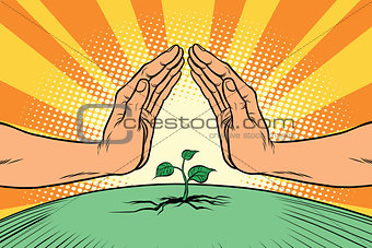 Human hands protecting a green sprout, environment and nature