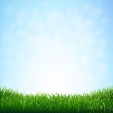 Grass With Blue Sky