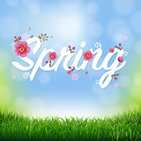 Nature Background With Grass Border And Text Spring