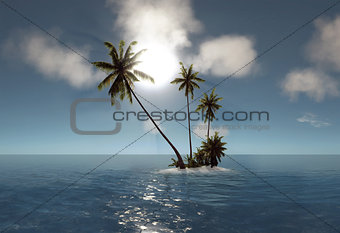 sea, tropical island, palm , sun