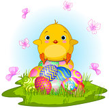 Yellow Easter Chick 