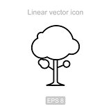 Tree. Linear vector icon.