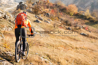 cyclist with a backpack on mountainbike back view