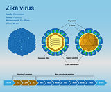 Zika virus structure