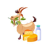 Goat Eating A Branch And Set Of Cheese And Milk Dairy Food, Farm And Farming Related Illustration In Bright Cartoon Style