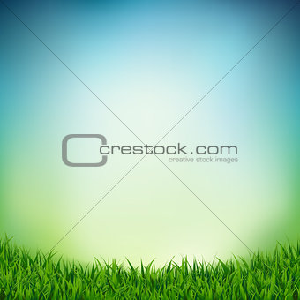 Landscape With Green Grass