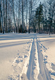 Ski Tracks in Snowy Winter Park