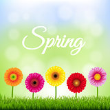 Spring Banner With Flowers