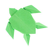 Green sea turtle of origami.