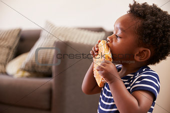 Young Boy Eating Toasted Sandwich At Home