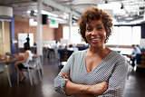 Portrait Of Mature Businesswoman In Modern Open Plan Office