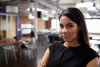 Portrait Of Businesswoman In Modern Open Plan Office