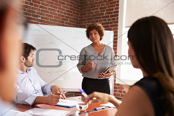 Mature Businesswoman Addressing Boardroom Meeting