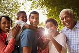 Multi generation black family in garden look to camera