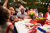 Multi generation black family at 4th July barbecue, close up
