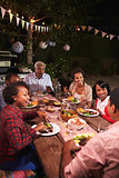 Adult black family enjoy dinner together in garden, vertical