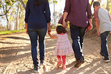 Mixed race family walking on a rural path, back view, crop