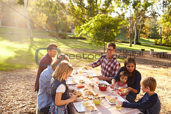 Two families having a picnic together at a table in a park