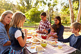 Two families having a picnic at a table in a park, close up