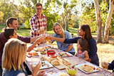 Two families making a toast at picnic at a table in a park