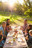 Two families having picnic at a table in a park, vertical