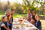 Two families having a picnic at a table look to camera