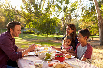 Mixed race family enjoying a picnic at a table in a park