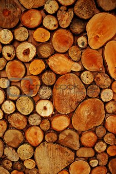 arrangement beautiful wood