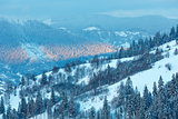 Evening winter Ukrainian Carpathian Mountains landscape.