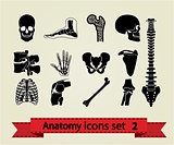 Anatomy icons set 2