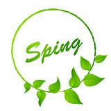 Hello Spring abstract background. Design element with green leaves