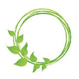 Green leaves or leaf graphic icon design