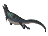 Placodus Dinosaur Side Profile