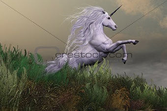 White Unicorn on Mountain