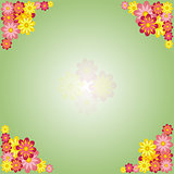 Spring green background with flowers 